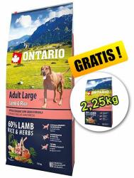 ONTARIO ONTARIO Adult Large - lamb & rice 12 kg + 2, 25 kg GRATIS
