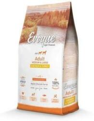 Evoque Dog Adult Medium & Large Chicken & Turkey 2x12 kg