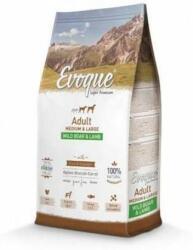 Evoque Adult Medium & Large Wild Boar & Lamb 2x12 kg