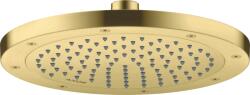 Hansgrohe ShowerSolutions cap de duș 24.5x24.5 cm rotund || 35380950 (35380950)