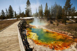 Dimex Vlies Fotótapéta - Yellowstone Park - 375x250 cm (MS-5-3027)
