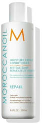 Moroccanoil Hidratant balsam pentru păr slăbit și deteriorat ( Moisture Repair Conditioner) 250 ml