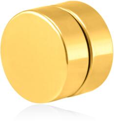 Troli Cercel single magnetic placat cu aur 2in1 (cercel, mini broșă) VSE6018G-PET