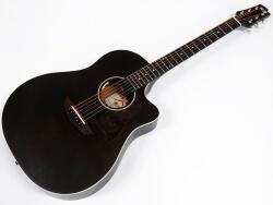 FGN Guitars AG1E Black
