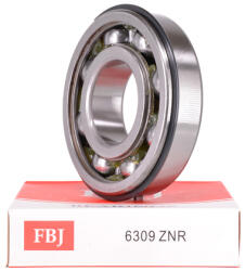  6309 ZNR 45X100X25mm