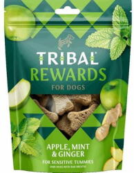  Tribal Rewards Snack alma, menta és gyömbér 125 g