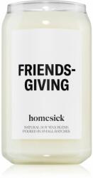 Homesick Friendsgiving illatgyertya 390 g
