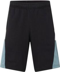 Champion Authentic Athletic Apparel Pantaloni sport negru, Mărimea XL
