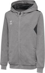Hummel Hanorac cu gluga Hummel HMLAUTHENTIC PL ZIP HOODIE KIDS 219980-2006 Marime 116