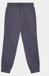 KABOOKI® Pantaloni trening 14010052 Violet Regular Fit