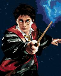 Zuty Pictură pe numere Harry Potter și bagheta (5003931) Carte de colorat