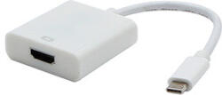 Neutralle USB/video átalakító, DP Alt Mode, USB-C hím - HDMI nő, fehér, műanyag tasakban, 4K2K@30Hz, KIÁRUSÍTÁS