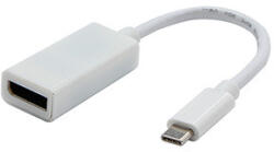 Neutralle USB/Video átalakító, DP Alt Mode, USB C hím - DisplayPort csatlakozó, fehér, 4K2K@30Hz 65507