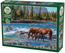 Cobble Hill 1000 db-os puzzle - On the Rocks (40267) (40267)