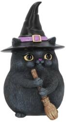 Nemesis Now Statuetă Nemesis Now Adult: Gothic - Lucky Black Cat, 12 cm (B4088M8)