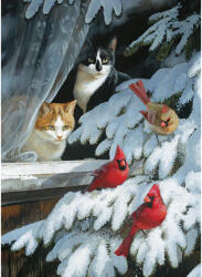 Cobble Hill 40146 - Bird Watchers - 1000 db-os puzzle