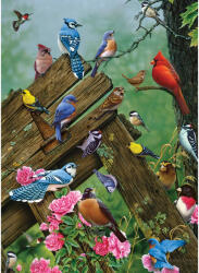 Cobble Hill 40167 - Birds of the Forest - 1000 db-os puzzle (40167)