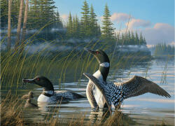 Cobble Hill 40175 - Common Loons - 1000 db-os puzzle
