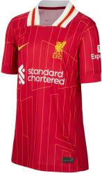 Nike LFC Y NK DF JSY SS STAD HM 2024/25 Póló fn9154-688 Méret M (137-147 cm) fn9154-688