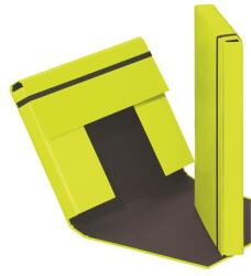 PAGNA Füzetbox, A4, 40 mm, karton, PAGNA Trend , lime zöld (PG2130817) - iroda24