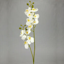  2 ágú orchidea fehér - aruvarazs