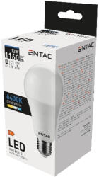 Avide Entac Led Globe E27 12W Cw 6400K (LLG27-12W-CW)