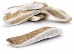  ABC-ZOO Coarne de cerb lopătar întregi L 81-110 g