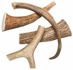  ABC-ZOO Coarne de cerb întregi S 10-50 g