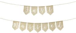 PartyDeco Banner - Just Married 23 x 185 cm