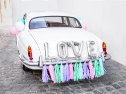 PartyDeco Decorațiune nuntă pentru mașină - Love