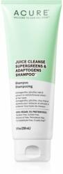  ACURE Juice Cleanse Supergreens & Adaptogens energizáló sampon a károsult hajra és fejbőrre 236 ml