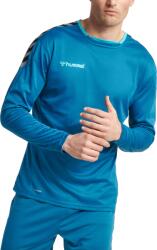 Hummel Bluza cu maneca lunga Hummel AUTHENTIC POLY JERSEY L/S 204922-8745 Marime S