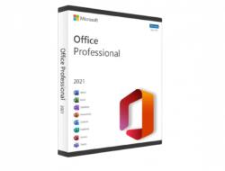 Microsoft Office 2021 Professional Plus, 1PC, Retail, ESD, Licenta permanenta (0889842091151)