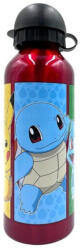 Kids Licensing Pokémon 500 ml (EWA00014PKC)