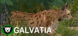 Dev.studio Galvatia (PC) Jocuri PC