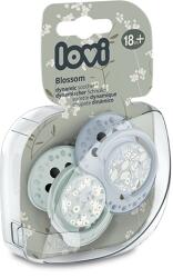 LOVI Lovi, Blossom Boy, suzeta dinamica din silicon, 18 luni+, 2 buc
