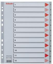 Esselte Index Esselte, plastic, reciclabil, A4 MAXI, 1-12, gri (ESS100125)