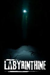 Valko Game Studios Labyrinthine (PC) Jocuri PC
