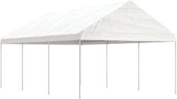 vidaXL 3155511 6,69x4,08x3,22 m