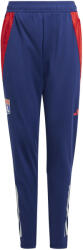 adidas Pantaloni adidas OL TR PNTY it5166 Marime L (159-164 cm) (it5166)