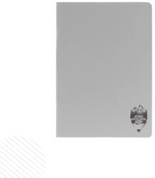 DACO Caiet A5 48 file DACO, coperta plastic, 70 g/mp, dictando, Gri (CT549DR/GRI)