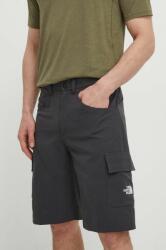 The North Face pantaloni scurți outdoor Horizon culoarea gri, NF0A824D0C51 PPYH-SZM0OO_90X