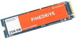 GOODRAM Pineberry Pi 256GB RPI-00013
