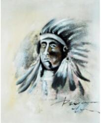  indian bărbat portret mic (dc0304-s-a)