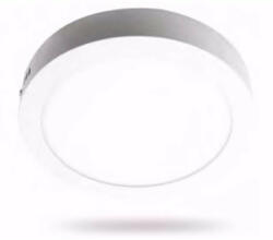 Daniella deLux LED panel kerek falon kívüli 12W 840lm 4000K IP20 D: 170mm - deLux DEL1330 (DEL1330)