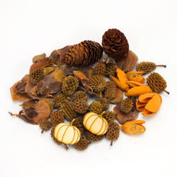  Természetjáró gyűjtemény natúr