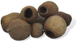  Eukalyptus Bell Gum natúr