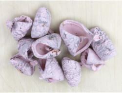  Rózsaszín csavart termés 10db/csomag