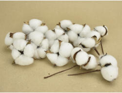  Eredeti gyapotvirág 12db/csomag