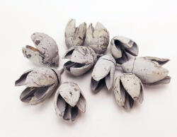  Bakuli termés világoskék 10db/csomag